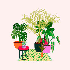 Popular tropical houseplants : monstera, palm, ficus, dracaena. 