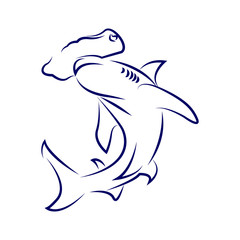 hammerhead illustration