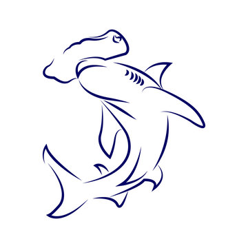 Great Hammerhead Shark Coloring Page by Mama Draw It  TPT