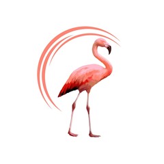flamingos isolated on white background. Flamingo Isolated on white. Pink flamingo vector illustration.