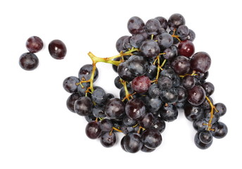 Dark grapes, Black Hamburg (Schiava Grossa) isolated on white background, top view