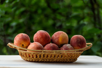 Ripe peaches in a wicker basket, green garden on the background. Fruit season