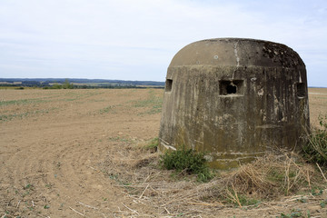 Fototapeta premium polska lubuskie betonwy bunkier w polu