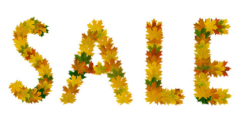 Phrase Sale of yellow, green and orange maple autumn leaves close-up. Isolate on white background