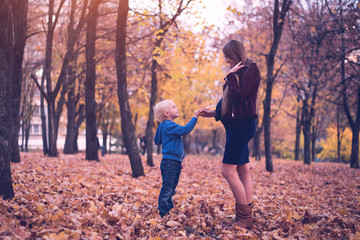 Obraz premium Little blond boy gives his pregnant mother yellow leaf. Autumn park on the background