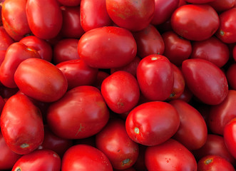 duża grupa czerwonych pomidorów - obrazy, fototapety, plakaty