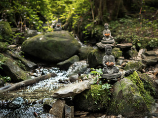 Fototapeta na wymiar Statue of buddha in the forest of Wolfurt
