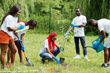 Group of happy african volunteers planting tree in park. Africa volunteering, charity, people and...