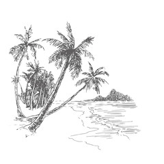 Vector vintage illustration of palm beach in engraving style. Hand drawn ink sketch of tropical landscape with trees and sea. Ocean coast