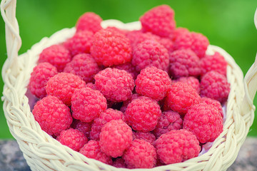 Ripe red berry. Fresh raspberries close-up. Healthy and tasty food.