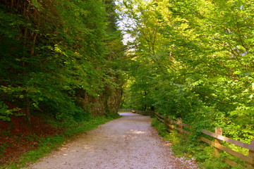 Road to the winter and touristic station Poiana Brasov, 12 km from Brasov, a town situated in Transylvania, Romania, in the center of the country. 300.000 inhabitants