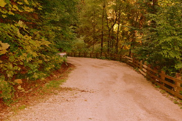 Road to Winter and Spa station Poiana Brasov. Typical landscape in the forests of Transylvania, Romania