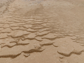 abstract wind and sand formations on the beach, suitable for textures and backgrounds