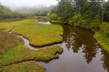 Island Wetland on a Foggy Morning. This wetland, seen on Lummi Island, Washington, runs out to the...