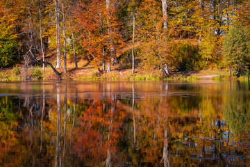 Colorful autumn forest by the lake