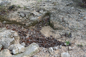 RESTOS ARQUEOLOGICOS