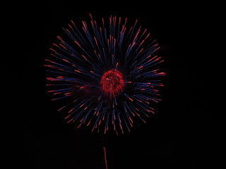 fireworks in the sky