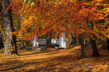 Autumn in a city park