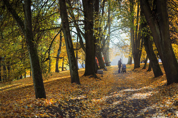 Autumn in a city park