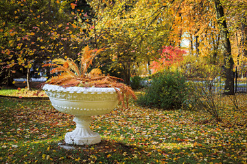 Autumn in a city park
