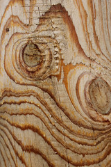 Naklejka premium Blurred wooden texture background. Abstract nature texture with a lot of copy space for text.