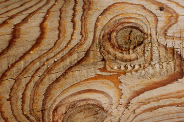 Naklejka premium Blurred wooden texture background. Abstract nature texture with a lot of copy space for text.