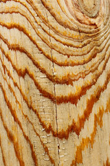 Blurred wooden texture background. Abstract nature texture with a lot of copy space for text.