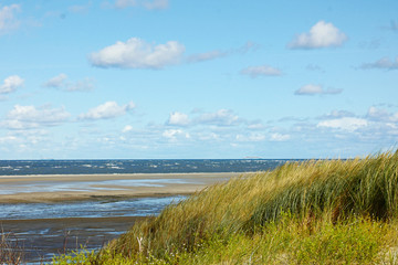 Langeoog Dünengras und Sandbank