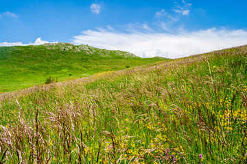 Green field and Blue Sky