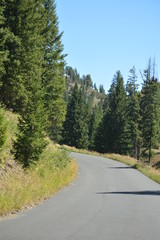 Down the path