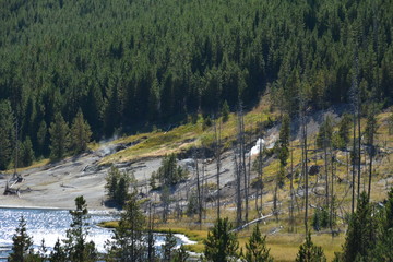 Geysers Yellowstone Park