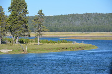 Yellowstone River