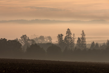 fall misty and foggy landscape with a tree silhouette on a fog at sunrise, Vysocina Czech Republic