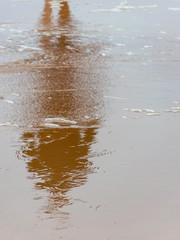 human foot and silhouette reflections on the beach sand