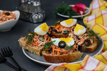 Homemade sandwiches with carrots and radishes, decorated with boiled egg and black olives in a plate against a dark background