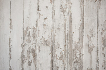 Realistic wooden background. Natural tones, grunge style. Wood Texture. 