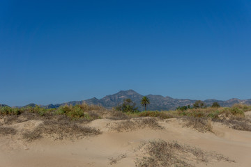 Wild nature with sand dunes, mountains and palm trees