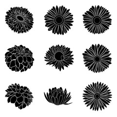 Vector set of detailed, realistic various flower bud silhouettes in black color, isolated, on white background.