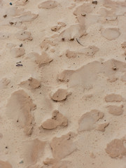 abstract wind and sand formations on the beach, suitable for textures and backgrounds