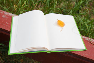 yellow autumn leaf on an open notebook on a red wooden bench, blurred background green grass