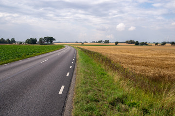 Empty countryside road