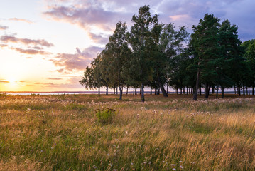 Park, city, sunset, clouds