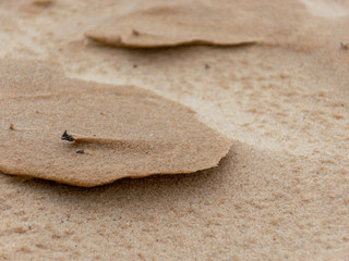 abstract wind and sand formations on the beach, suitable for textures and backgrounds