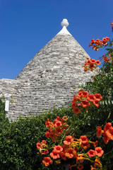 ALBEROBELLO, ITALY - AUGUSt 27 2017: Exterior of a traditional trullo house in Italy, with flowers...
