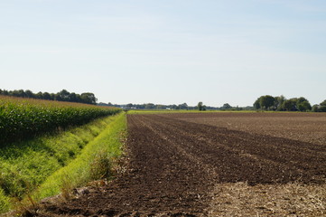 Fototapeta na wymiar harvested field in autumn