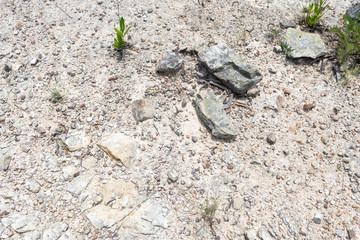 zona arqueologica