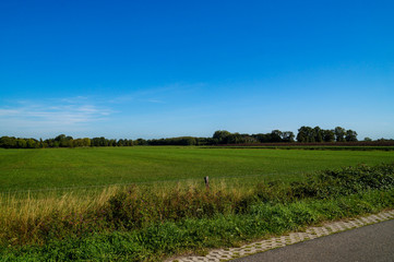 landscape with wheat field and blue sky