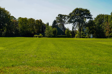 trees in the park with farmhouse