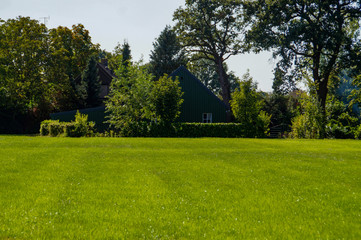 trees in the park with farm