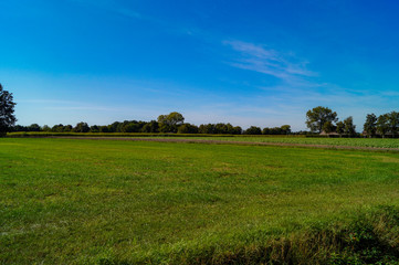 green field and blue sky